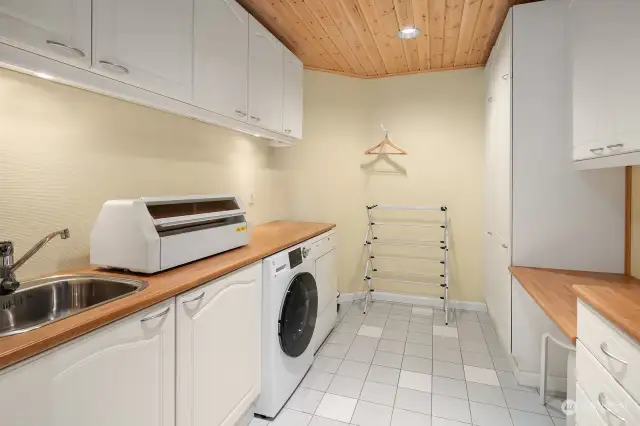 Lower level laundry area