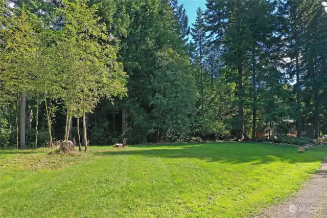 View of lush back yard