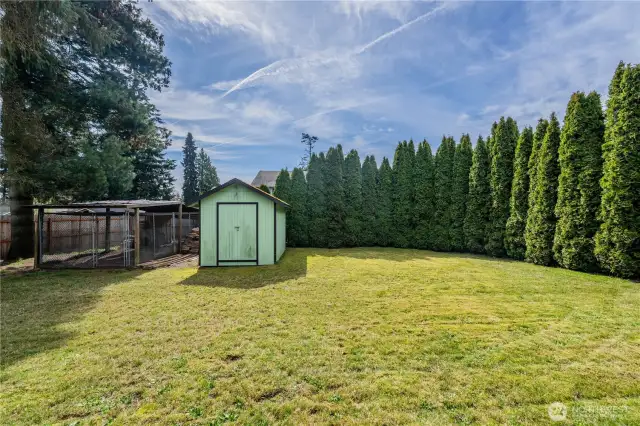 Shed