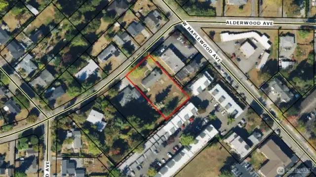Aerial view with property lines.