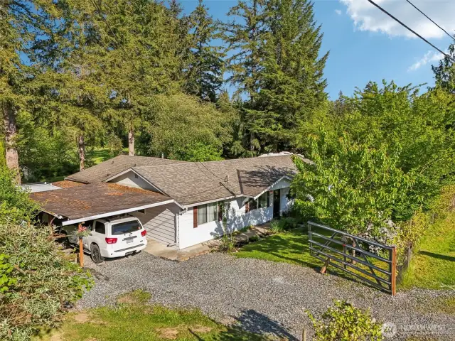 Ariel view of front of home, showcasing newer roof w/30 warranty & mature fruit trees in front, established grapes on fence.