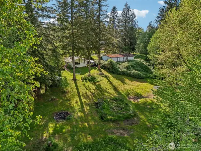 Backyard property w/small chicken coop, garden beds, established fruit trees (cherry, plum, apple)