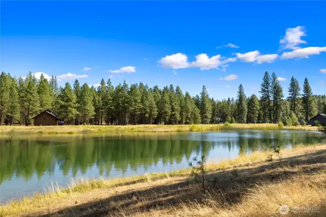 Backyard Fishing!