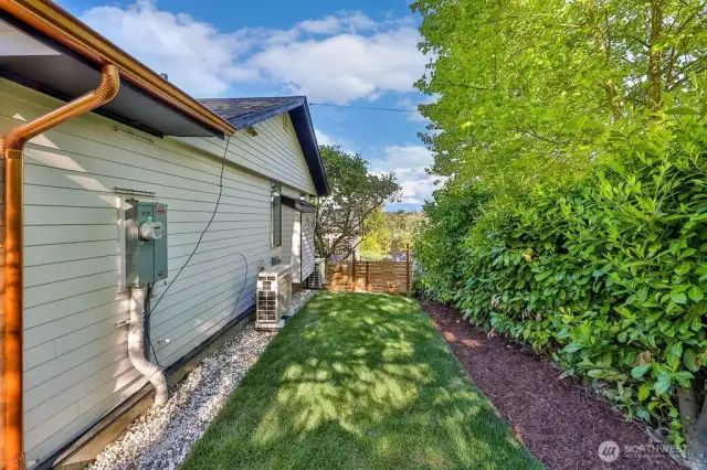 Side Yard