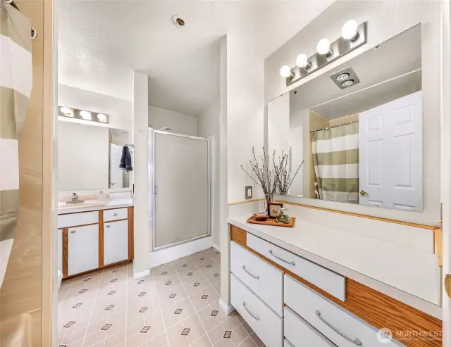 Extra vanity space and storage