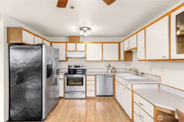 Stainless appliances