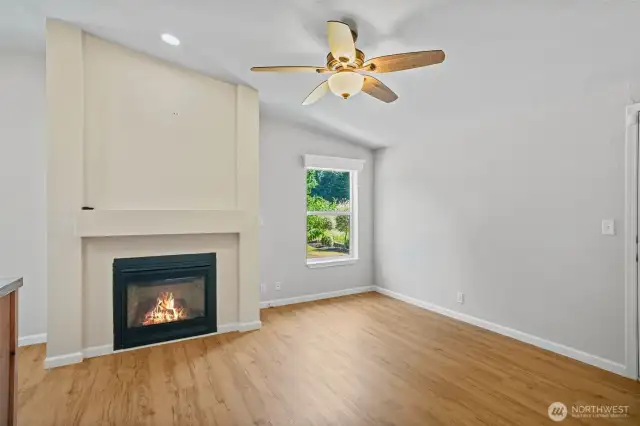 Propane fireplace