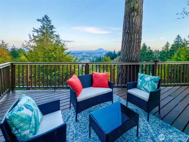 Absolutely captivating views of Mt. Rainier and Cascades, from nearly every space, inside and out!