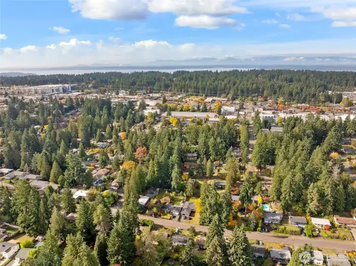 Located in Shoreline close to shops, schools, restaurants, and transit options