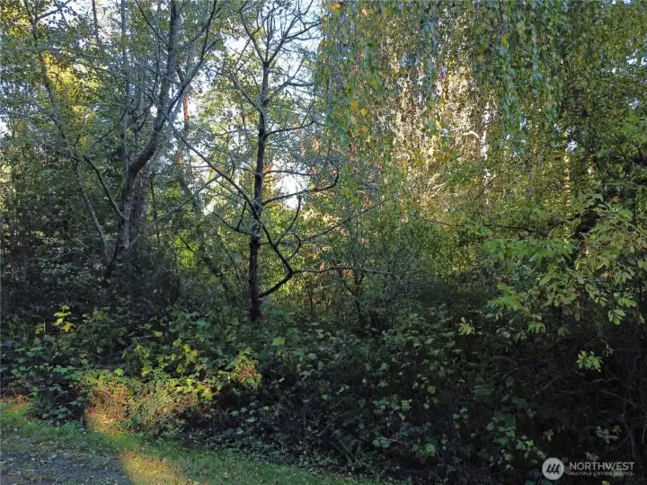 Sunny Location