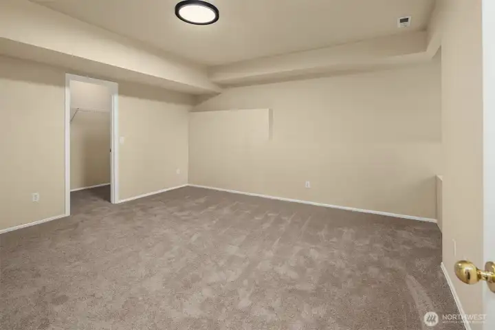 A second HUGE bedroom on the lower level with large walk-in closet.  Lots of possibilities for this space - a home gym, media room, playroom?