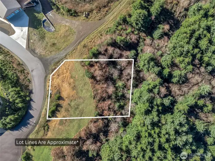 General lot lines applied to this image for reference.