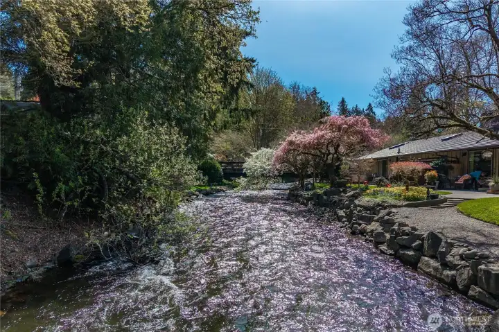 Creek frontage