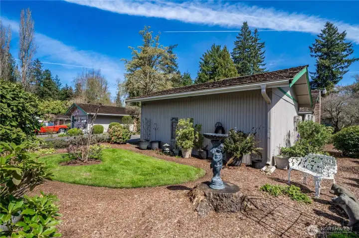 Front /side yard