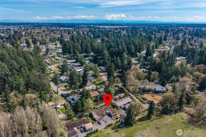 Aerial View of property