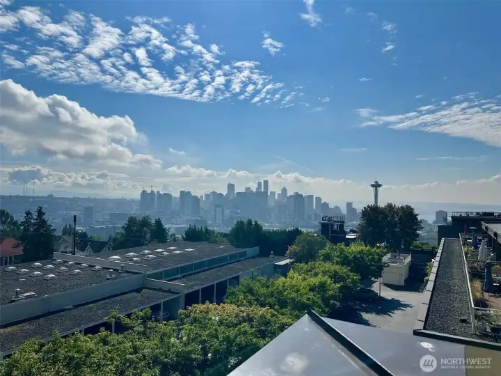 The 4th floor has it all!- access to this HUGE rooftop deck, community library & sitting area and laundry room
