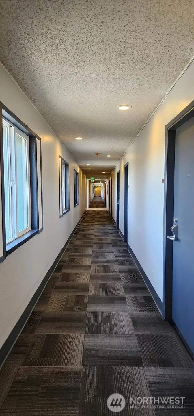 4th floor hallway with new carpet