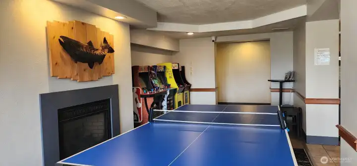 Kid Zone Ping Pong