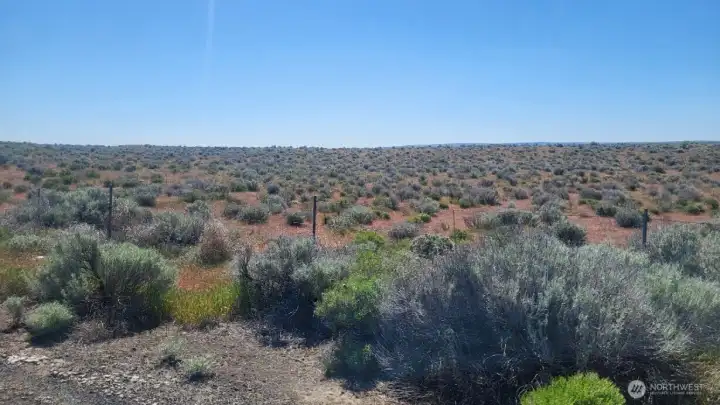 NW corner of property facing Southeast