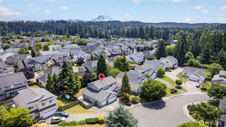 Arial view with a Mt. Rainier View