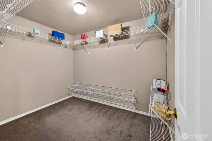 Primary Walk-in Closet with Plenty of room for all of Wardrobe Treasures.