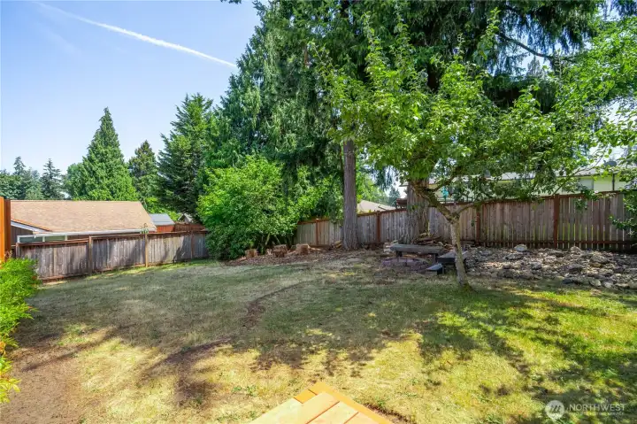 Large backyard