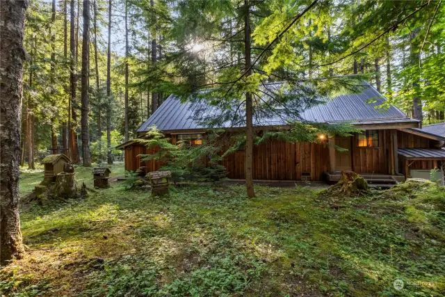 Back view of main cabin shows the natural forested landscape.