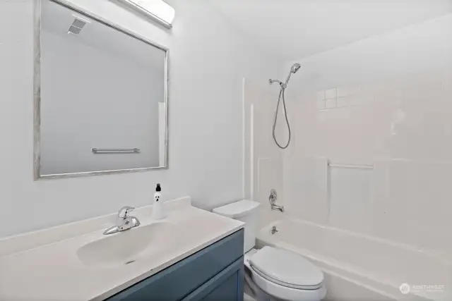 Lower level Bathroom