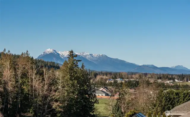 Snow-capped Peaks