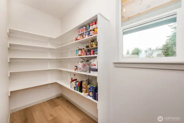 One of Two Walk-in Pantries