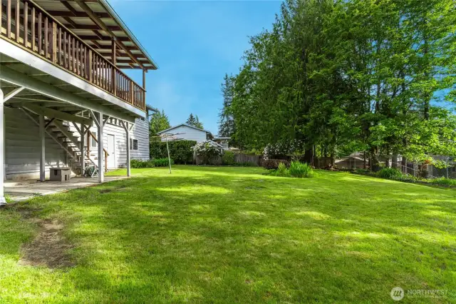Huge Back Yard