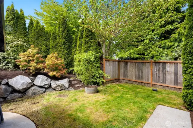 A grassy lawn area offers space to play, garden, or relax in the sunshine—framed by evergreens for privacy.