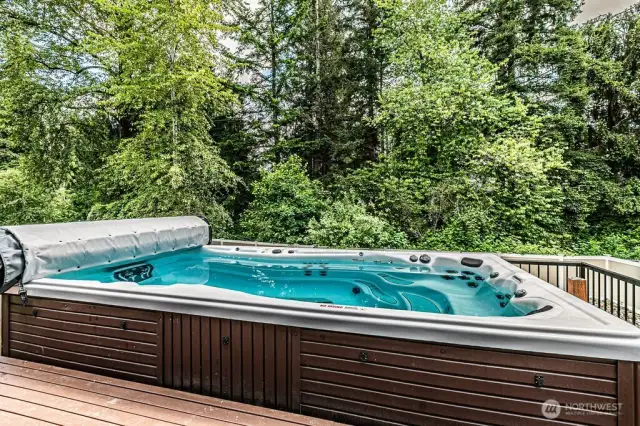 Swim Spa with new cover