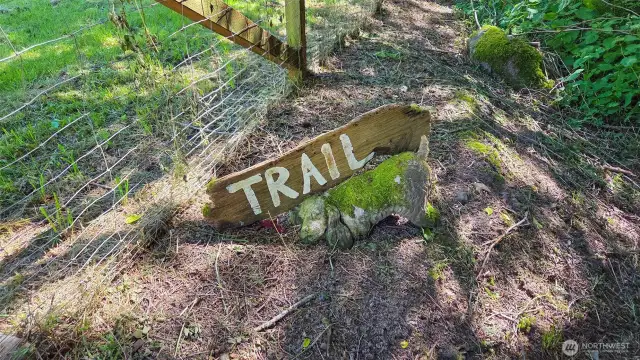 Nature trails thruout the forested area