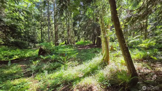 Nature trail