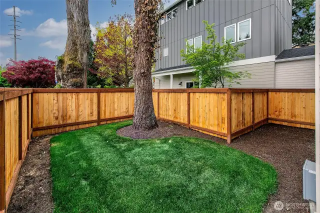 Nice yard