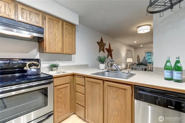Stainless appliances