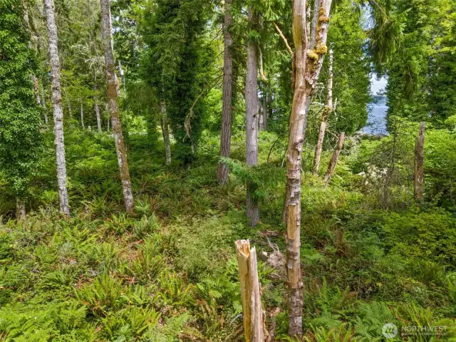 Potential peek-a-boo views!