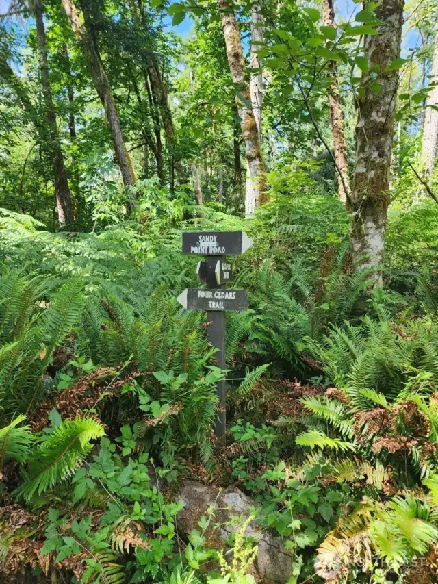 Trailhead to Tolmie!