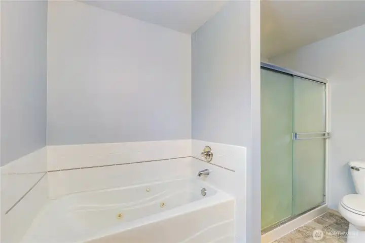 Ensuite with jetted tub & separate shower