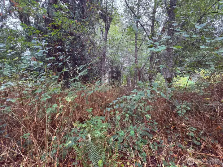 Lot M-18 Olympic Drive