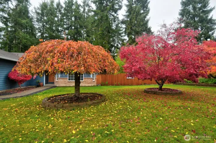 Enjoy the fall colors