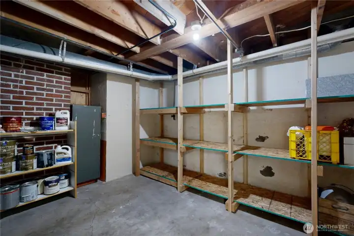 Storage Room with strong shelving