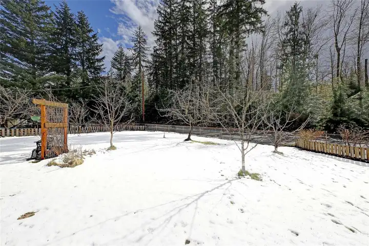 Fruit trees front yard