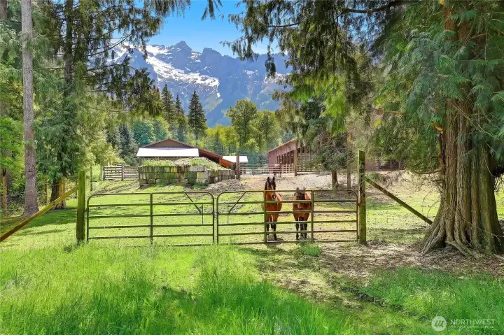 Beautiful farm with Whitehorse Mountain as the backdrop Beautiful farm with Whitehorse Mountain as the backdrop