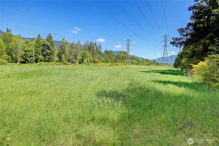 Grassy Pastures Grassy Pastures