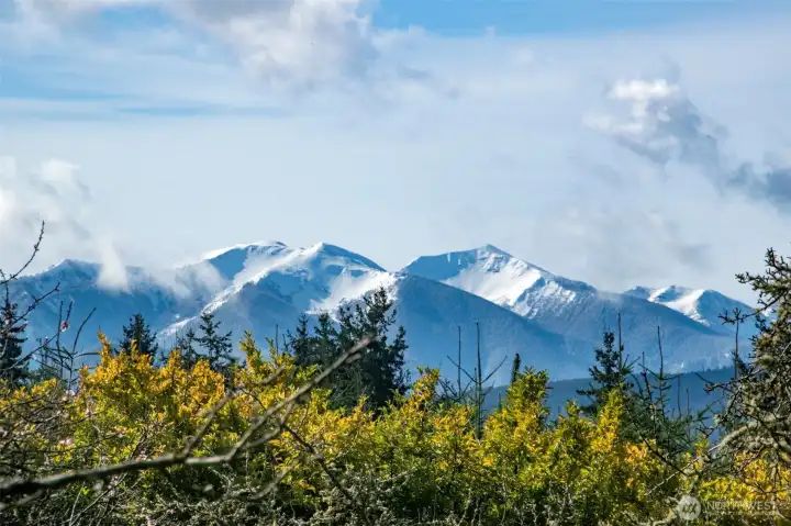 Gorgeous Mountain Views