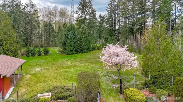 Over 2.4 acres, garden space, chicken coop and more