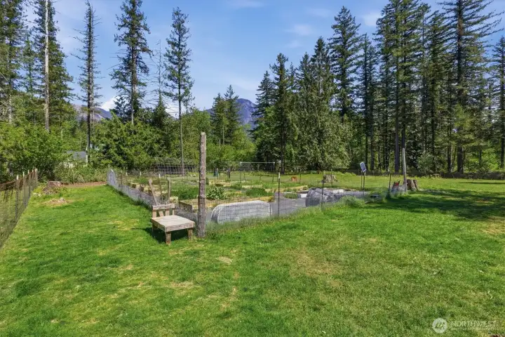 FENCED GARDEN