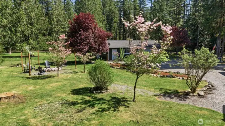 FRUIT & NUT TREES